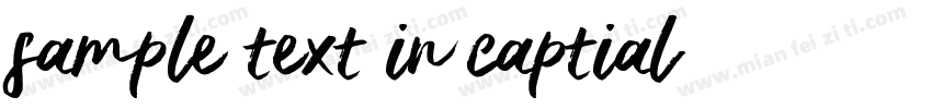 sample text in captial字体转换